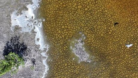 Klimaschutz in den USA: Was es bedeutet, wenn Treibhausgase als harmlos eingestuft werden