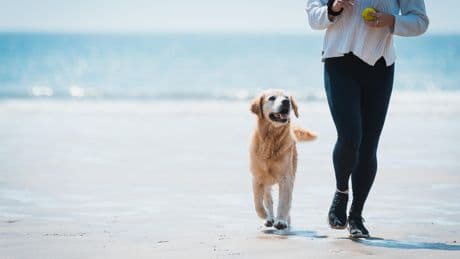 Voici les plages préférées des chiens (et de leurs maîtres) en France cet été