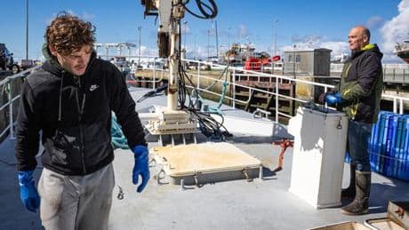 Les inquiétudes et incertitudes des pêcheurs du port de La Turballe : « On a l’impression d’être diabolisés depuis des années »