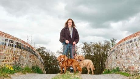 Dogsitter-Urlaub : Wie man als Dogsitter weltweit kostenlos wohnt