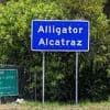 Verstoß gegen Umweltschutzgesetz: Gericht ordnet Rückbau von "Alligator Alcatraz" an