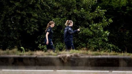 Politie maakt meer bekend over gewelddadige dood Lisa (17) uit Abcoude