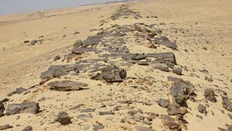 The world's 'oldest' road that's nearly 5,000 years old and stretches for 7 miles