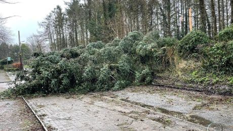 Claims for weather-related damage to homes and possessions hit record £226m