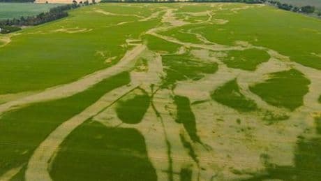 Grundwasserlage offenbar in jedem zweiten Landkreis kritisch