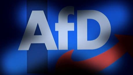Ärger um Partei-Sticker – Borussia Dortmund mahnt AfD ab