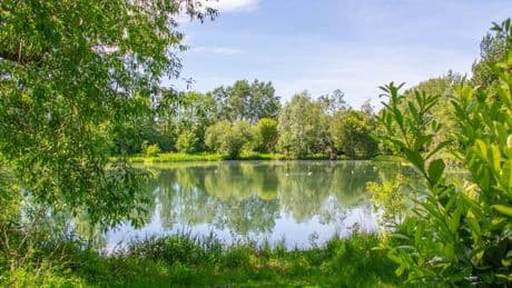 'Best Airbnb in England' located on private lake has 'one important factor'