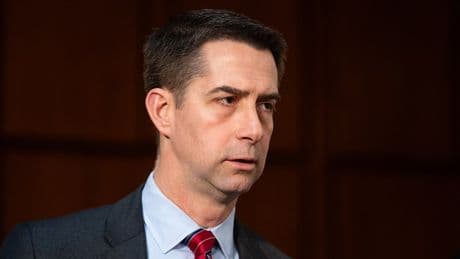 Senate Republican moves to give US an edge on China in harvesting minerals for weapons systems