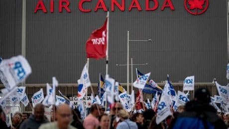 Fin de la grève chez Air Canada : “Le travail non rémunéré, c’est terminé”