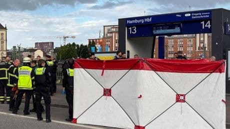 Allemagne : douze blessés dans une attaque au couteau à la gare de Hambourg, plusieurs dans un état critique