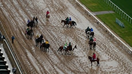 PHOTO COLLECTION: Kentucky Derby