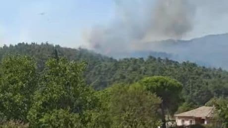 Çanakkale Gelibolu’da orman yangını