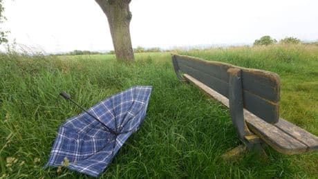 Wetter-Vorhersage: Gewitter mit Starkregen, Sturmböen und Hagel