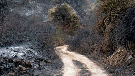 İspanya’da yangın hayatı felç etti: Köyler boşaltıldı, yollar kapatıldı, tren seferleri durduruldu