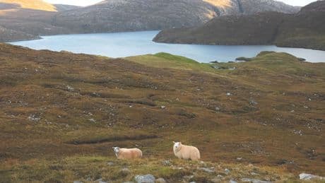 Schottland: Wo kommt das mysteriöse Brummen her?