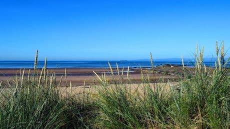 Boy dies after 'disturbance' at beach