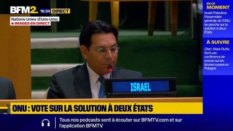 "Des membres de cette assemblée choisissent de rester aveugle": Israël fustige la "déclaration de New York"
