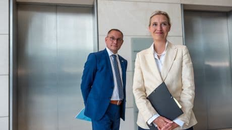 Neue Umfrage - AfD erreicht wieder Rekordwert