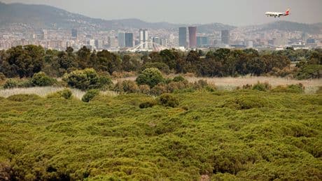 La CNMC avala los cálculos de Aena sobre sus costes para subir las tarifas aéreas en 2026