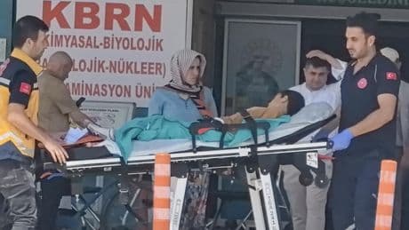 Kurban kesilen bahçede bıçağın üzerine düşen Çınar ağır yaralandı