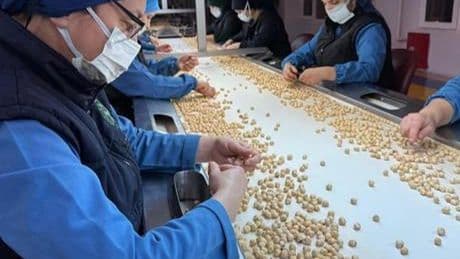 Türkiye, fındık ihracatından 1,9 milyar doları aşkın gelir sağladı