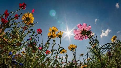 Wetter: Sonnige Aussichten für Bayern - Wasserwacht warnt