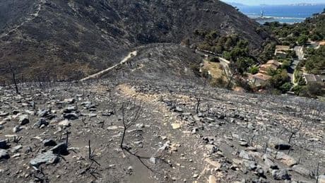En direct, incendies : deux feux toujours actifs, dans le Gard et dans l’Aude, celui près de Marseille est « en très nette régression »