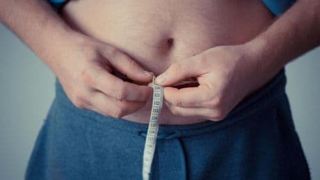 Identifican una proteína que puede ayudar a mejorar el control de la obesidad y las enfermedades cardiovasculares