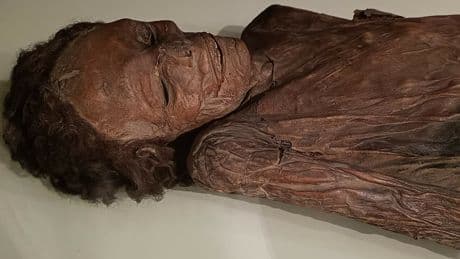 Los museos de Cultura almacenan 14.700 restos humanos sin poder ser exhibidos
