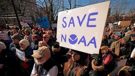 Offensive de Trump contre les sciences : « Le préjudice pour la recherche américaine et mondiale sera considérable »