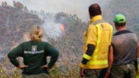 Incendios en España hoy, en directo | El fuego avanza sin control en Galicia, Extremadura y Castilla y León, un bombero muerto y miles de hectáreas calcinadas