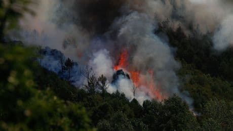 No, en España no hay cada vez más incendios, hay menos y estos son los datos que lo demuestran