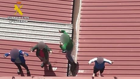 La Guardia Civil pilla huyendo por los tejados a una organización criminal dedicada al cultivo de marihuana