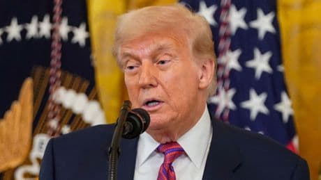 Trump sues Wall Street Journal and Rupert Murdoch for $10bn after Epstein letter report