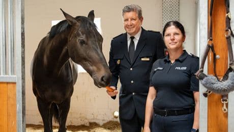 Polizei Braunschweig: Stallanlagen modernisiert – Platz für 18 Pferde