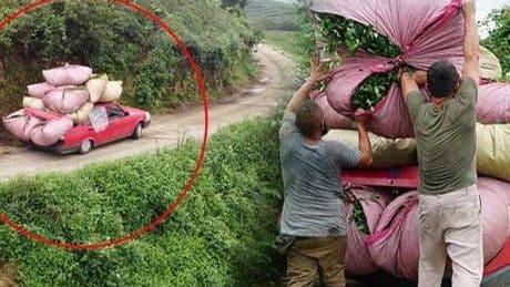 Karadeniz zekası iş başında! ‘Bize göre normal ama ilk kez görenler şaşırıyor’