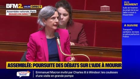 Aide à mourir: Sandrine Rousseau dénonce l'un des critères de conditions d'accès débattus à l'Assemblée