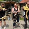 Dog walkers warned after 18ft long python that can crush pets to death is on the loose