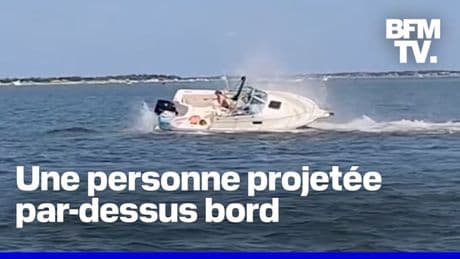 États-Unis: une baleine meurt après avoir percuté un bateau au large du New Jersey