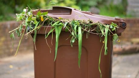 Gartenabfälle smart entsorgen: Tipps für eine umweltgerechte Handhabung