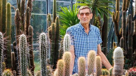 Aad Vijverberg heeft meer dan 5.000 cactussen: ’Ik weet precies wat ik heb staan en of er eentje gestolen is’
