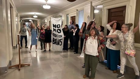 Missouri Supreme Court has opened the door to abortions being halted again