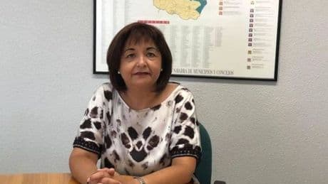 La hermana de Santos Cerdán recibió 22.000 euros de Servinabar