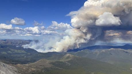 Du Canada à l’Europe, pourquoi la fumée des mégafeux se propage si loin ?