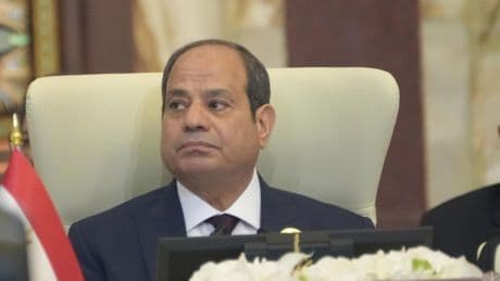 Arab leaders promise to work on reconstruction of Gaza and press for a ceasefire