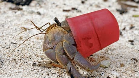 Internationale Umweltpolitik | UN-Plastikabkommen: Neuer Kopenhagen-Moment