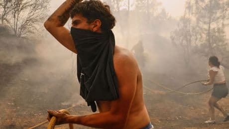 Hitze: Bis zu 45 Grad in Zypern - Waldbrände in Spanien außer Kontrolle