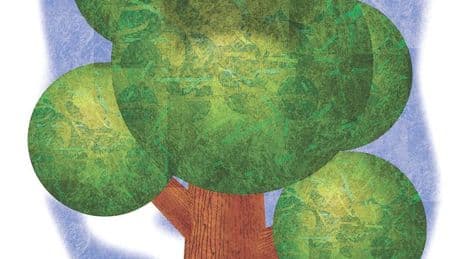 Red tape reckoning: Team Trump needs to overhaul America's obsolete environmental laws