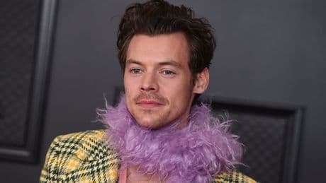 Steckbrief - Harry Styles ist Superstar und Pop-Phänomen