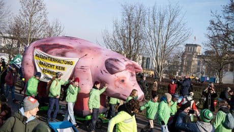 Aktion von "Wir haben es satt": Landwirte öffnen Höfe für Klimaschützer